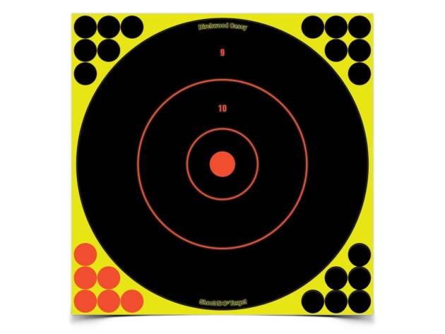 Birchwood Casey Shoot-N-C Self-Adhesive Targets 12" Bull's-Eye 12 Pack - BCYBC34022