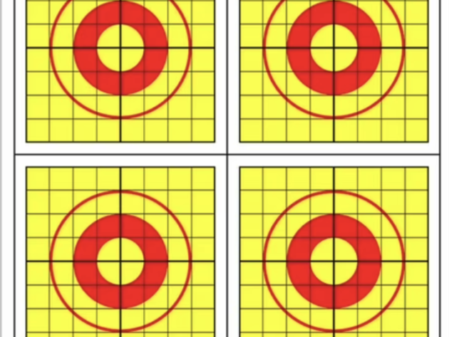 Thompson Targets 9200-5 GROUP-SHOOTER TRAINING TARGET 19"x25" 5pk - R-200