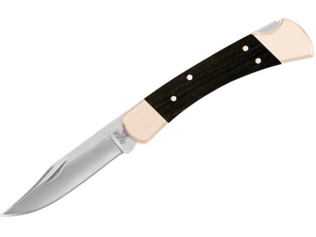 Buck Knives 110 Folding Hunter Lock-Back Knife - 0110BRS-B